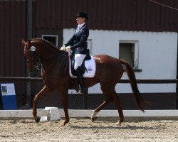 dressage horse Rien ne va plus (Westphalian, 2000, from Royal Dance)