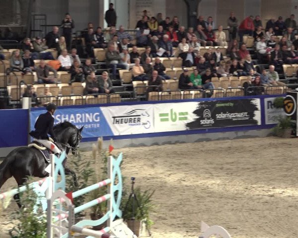 FEI Reitturnier Neumünster 2022
