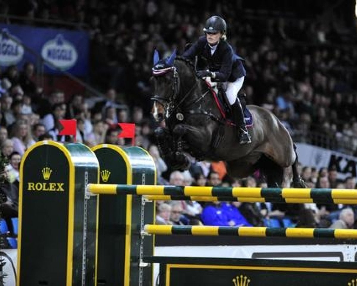 Springpferd Cellagon Lambrasco (Holsteiner, 1998, von Libero H)