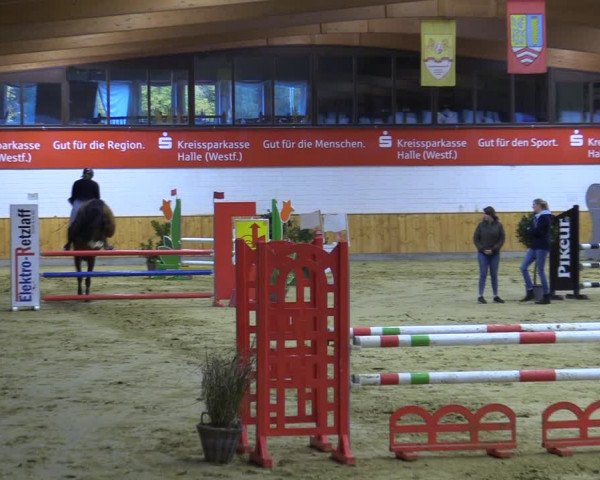 Reitturnier Steinhagen 2022