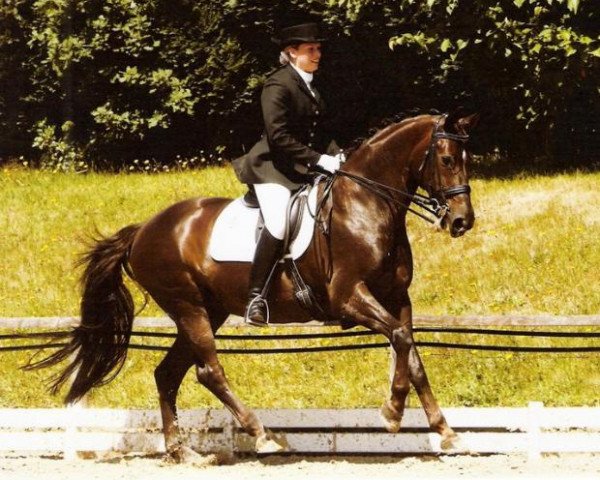 dressage horse Diorella 37 (Rhinelander, 1995, from Donnerschlag)