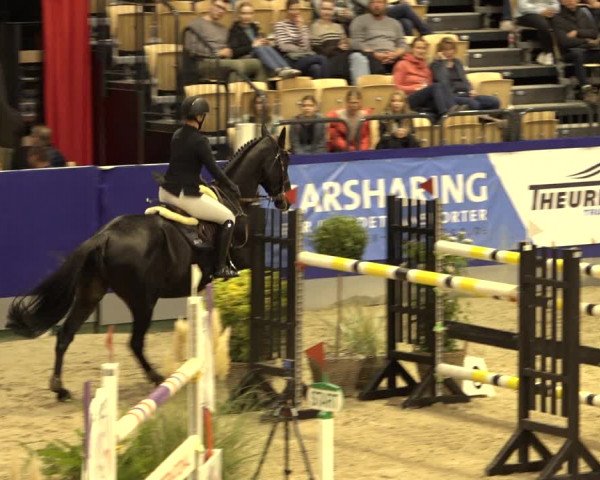 FEI Reitturnier Neumünster 2022