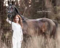 dressage horse Balian 3 (Hanoverian, 2005, from Belissimo NRW)