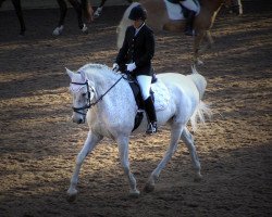 dressage horse Gonzo 108 (Württemberger, 1993, from Gastronom)