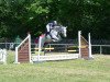 jumper Adlantica (Hanoverian, 2004, from Adlantico As)