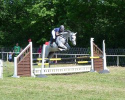 jumper Adlantica (Hanoverian, 2004, from Adlantico As)