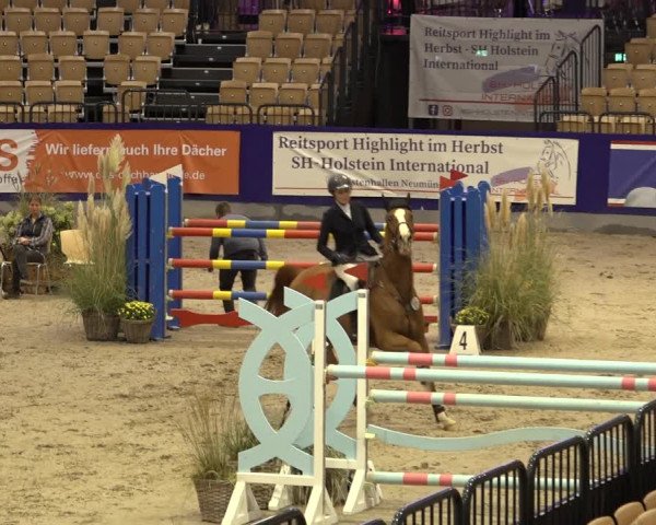 FEI Reitturnier Neumünster 2022