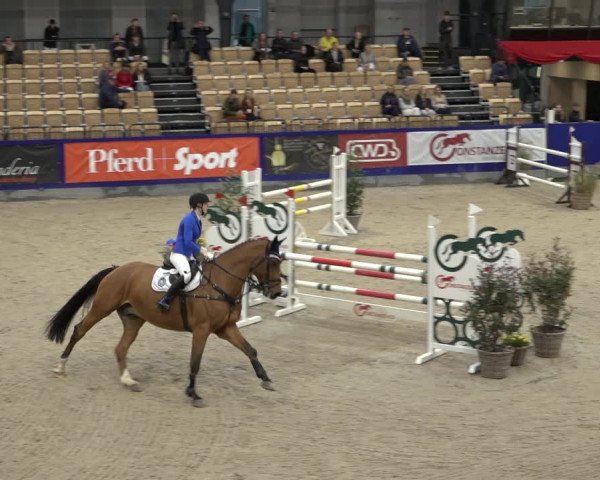 FEI Reitturnier Neumünster 2022