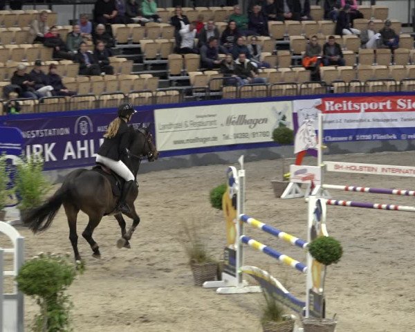 FEI Reitturnier Neumünster 2022