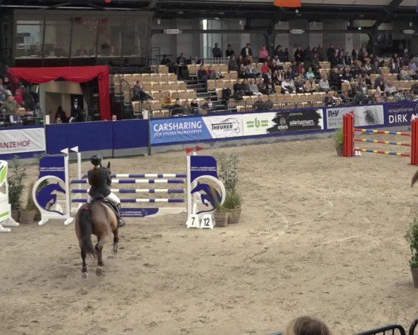 FEI Reitturnier Neumünster 2022