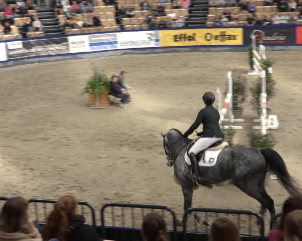 FEI Reitturnier Neumünster 2022