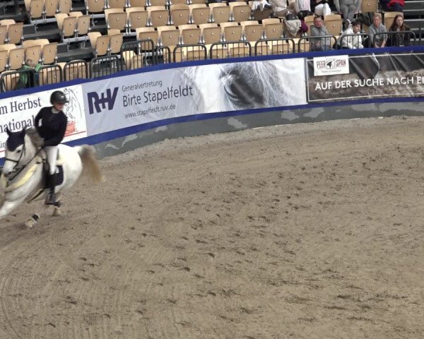 FEI Reitturnier Neumünster 2022