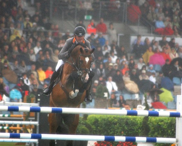 Deckhengst Catoki (Holsteiner, 1998, von Cambridge)