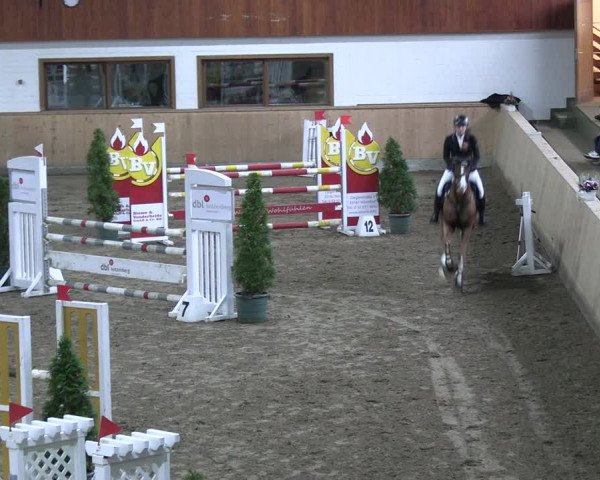 Reitturnier Hövelhof 2022