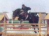 stallion Lutz (Holsteiner, 1986, from Lombard)