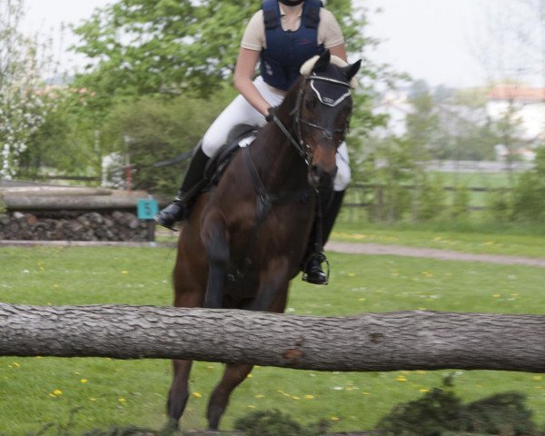 horse Utanie (Trakehner, 1999, from Louidor)