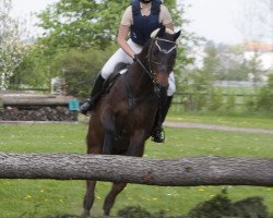 horse Utanie (Trakehner, 1999, from Louidor)