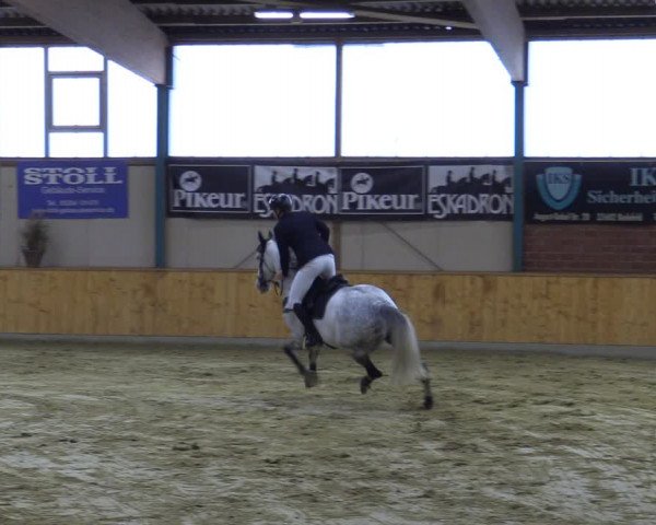Reitturnier Steinhagen 2022