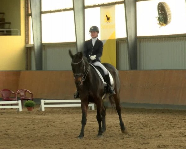 Reitturnier Frechen-Grefrath - Sonnenhof 2022