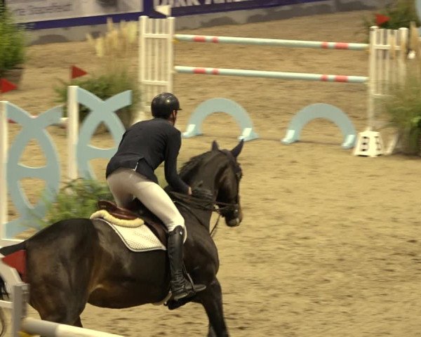 FEI Reitturnier Neumünster 2022