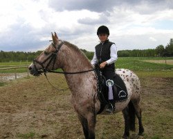 horse Island Princess (Knabstrupper, 1992, from Island Sunspot)