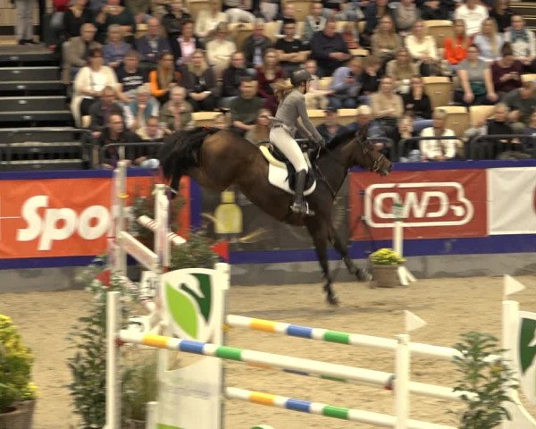 FEI Reitturnier Neumünster 2022