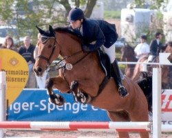 horse Cordial's Lady (Oldenburg, 1994, from Cordial Medoc)