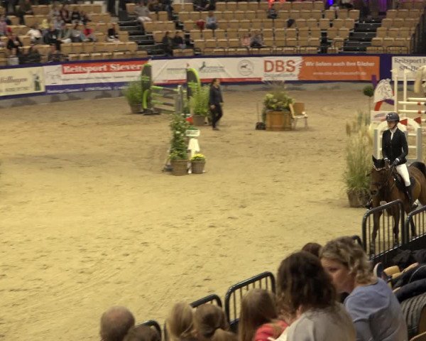 Reitturnier Neumünster 2022