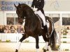 stallion Sorento OLD (Oldenburg, 2002, from Sandro Hit)