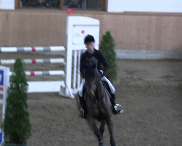 Reitturnier Hövelhof 2022