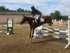 dressage horse Fenja 128 (German Riding Pony, 1997, from Koyano)