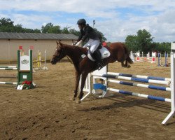 dressage horse Fenja 128 (German Riding Pony, 1997, from Koyano)