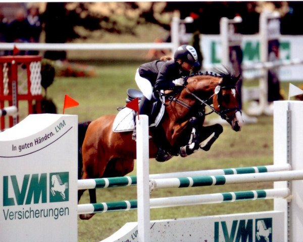 broodmare V-Power (German Riding Pony, 2003, from Versace R)