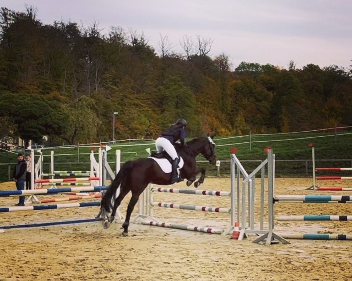 jumper Karandasch (unknown, 2013)