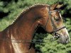 horse Abanos (Oldenburg, 1996, from Alabaster)