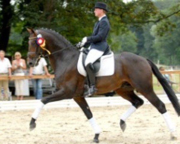 dressage horse Daddy Cool (Oldenburg, 2002, from Don Davidoff)
