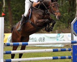 broodmare Ann-Cassin (German Sport Horse, 2005, from Cassini II)