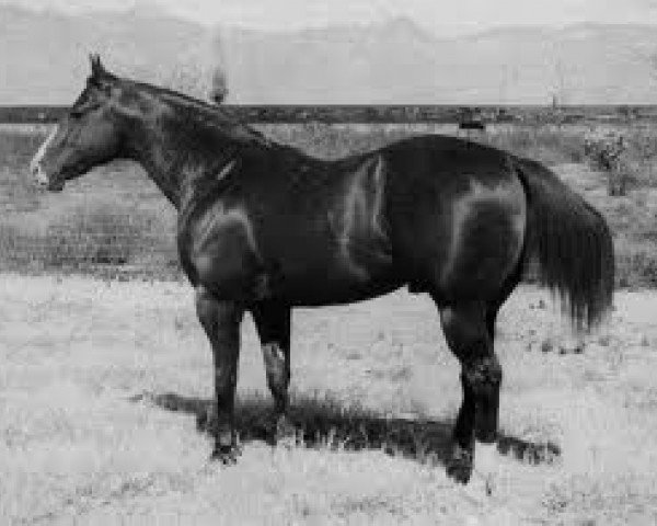 stallion Lightning Bar (Quarter Horse, 1951, from Three Bars xx)