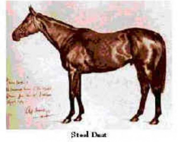Deckhengst Steel Dust (Quarter Horse, 1843, von Harry Bluff)