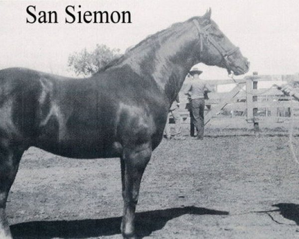 Deckhengst San Siemon (Quarter Horse, 1934, von Zantanon)