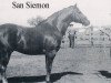 stallion San Siemon (Quarter Horse, 1934, from Zantanon)