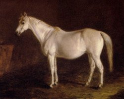 broodmare Reel xx (Thoroughbred, 1838, from Glencoe xx)