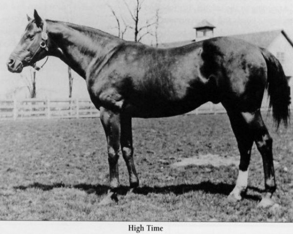 stallion High Time xx (Thoroughbred, 1916, from Ultimus xx)