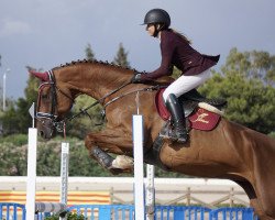 jumper Tambi (Swedish Warmblood, 2009, from Tornesch)