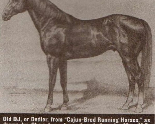 stallion Old DJ (Quarter Horse, 1900, from Crazy Q)
