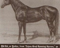 Deckhengst Old DJ (Quarter Horse, 1900, von Crazy Q)