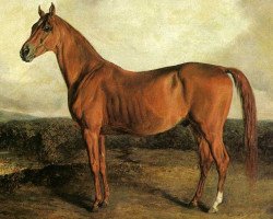 stallion American Eclipse xx (Thoroughbred, 1814, from Duroc xx)