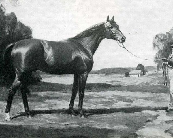 stallion Sir Archy xx (Thoroughbred, 1805, from Diomed xx)