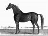 stallion Timoleon xx (Thoroughbred, 1814, from Sir Archy xx)