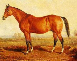 stallion Lexington xx (Thoroughbred, 1850, from Boston xx)